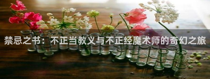 91香蕉漫画：禁忌之书：不正当教义与不正经魔术师的奇幻之旅