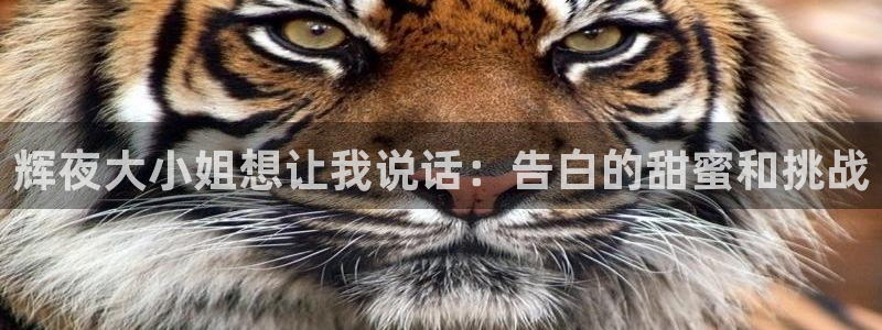 香蕉漫画h：辉夜大小姐想让我说话：告白的甜蜜和挑战